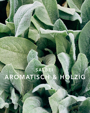 DUFTKERZE SAGE PRIVEE - SAGE & SEA SALT