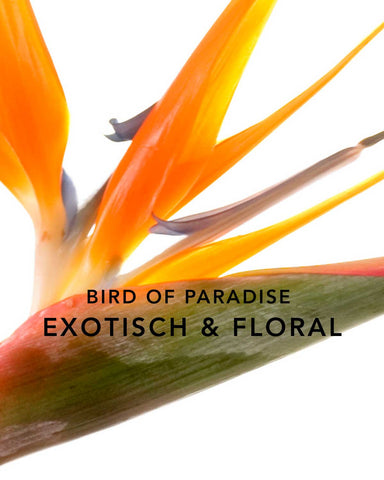 DUFTKERZE ORANGE DAZE - ORANGE&BIRD OF PARADISE