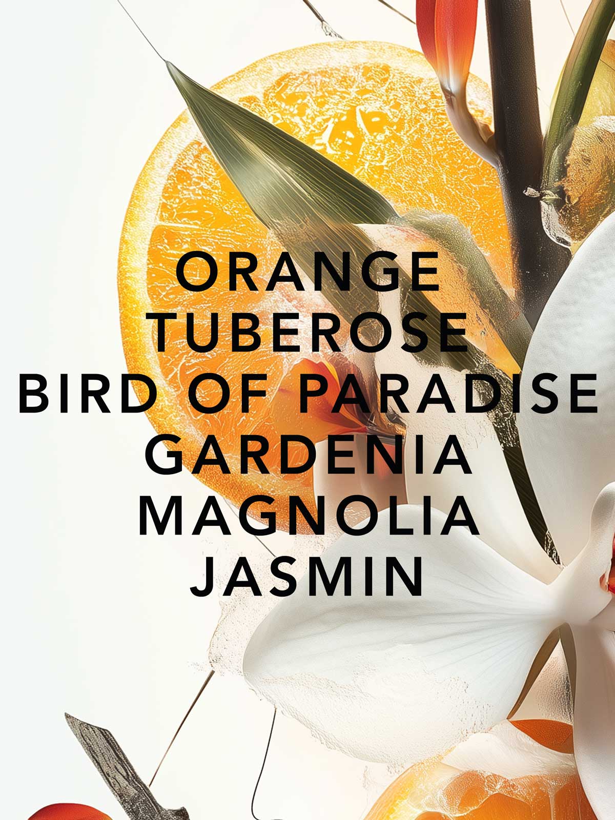 Orange und Bird of Paradise