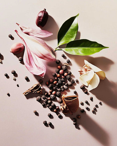 RAUMSPRAY OUD AFFAIR