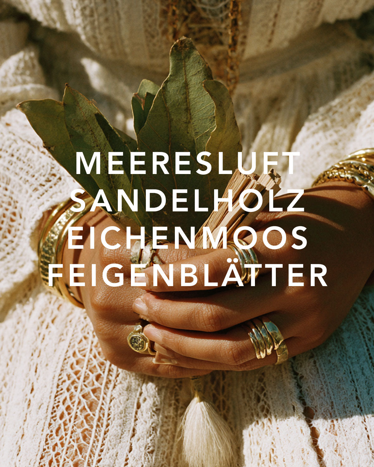 Bild von Händen die Feigenblätter halten