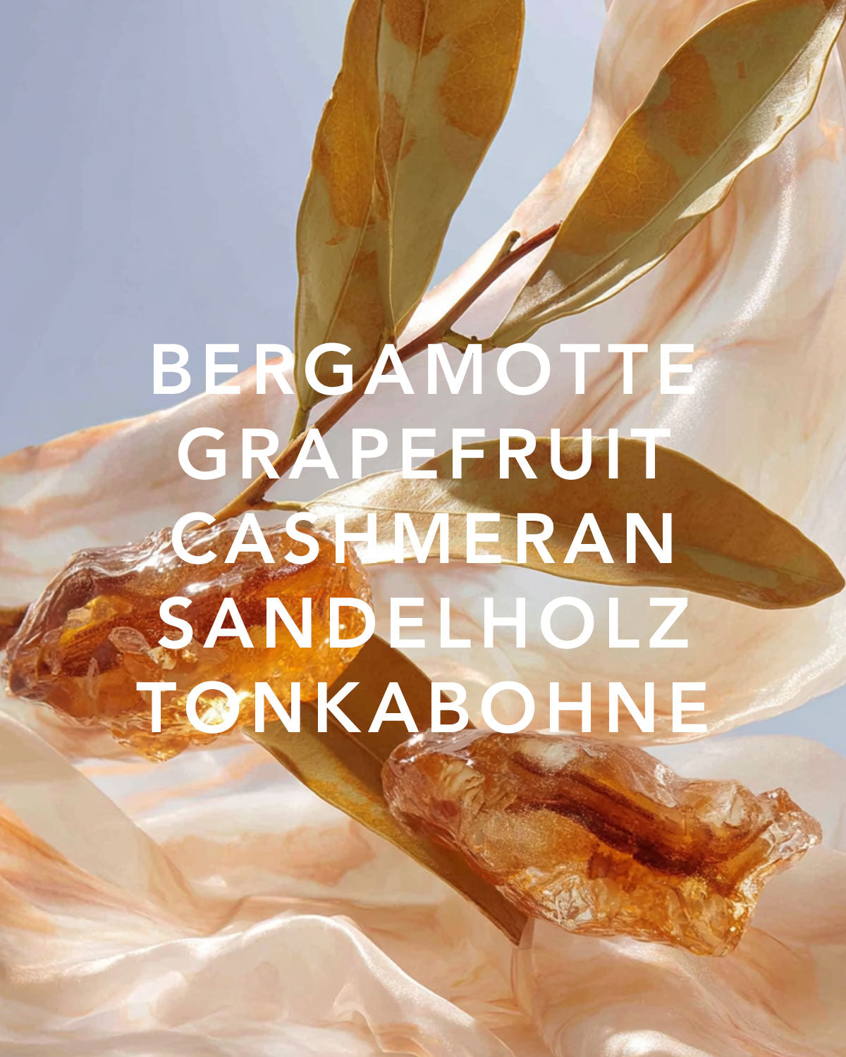 Duftkomposition aus Bergamotte, Grapefruit, Cashmeran, Sandelholz und Tonkabohne