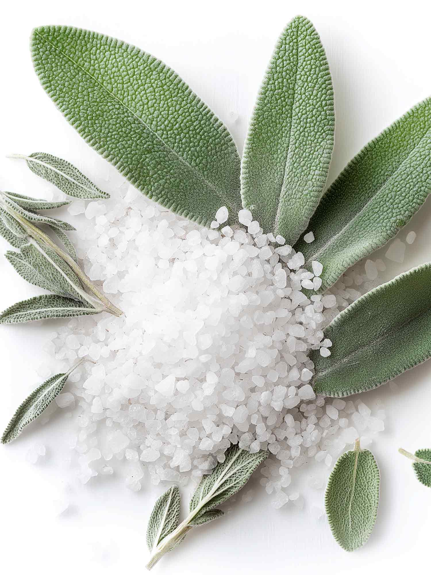 RAUMDUFT SAGE PRIVEE REFILL