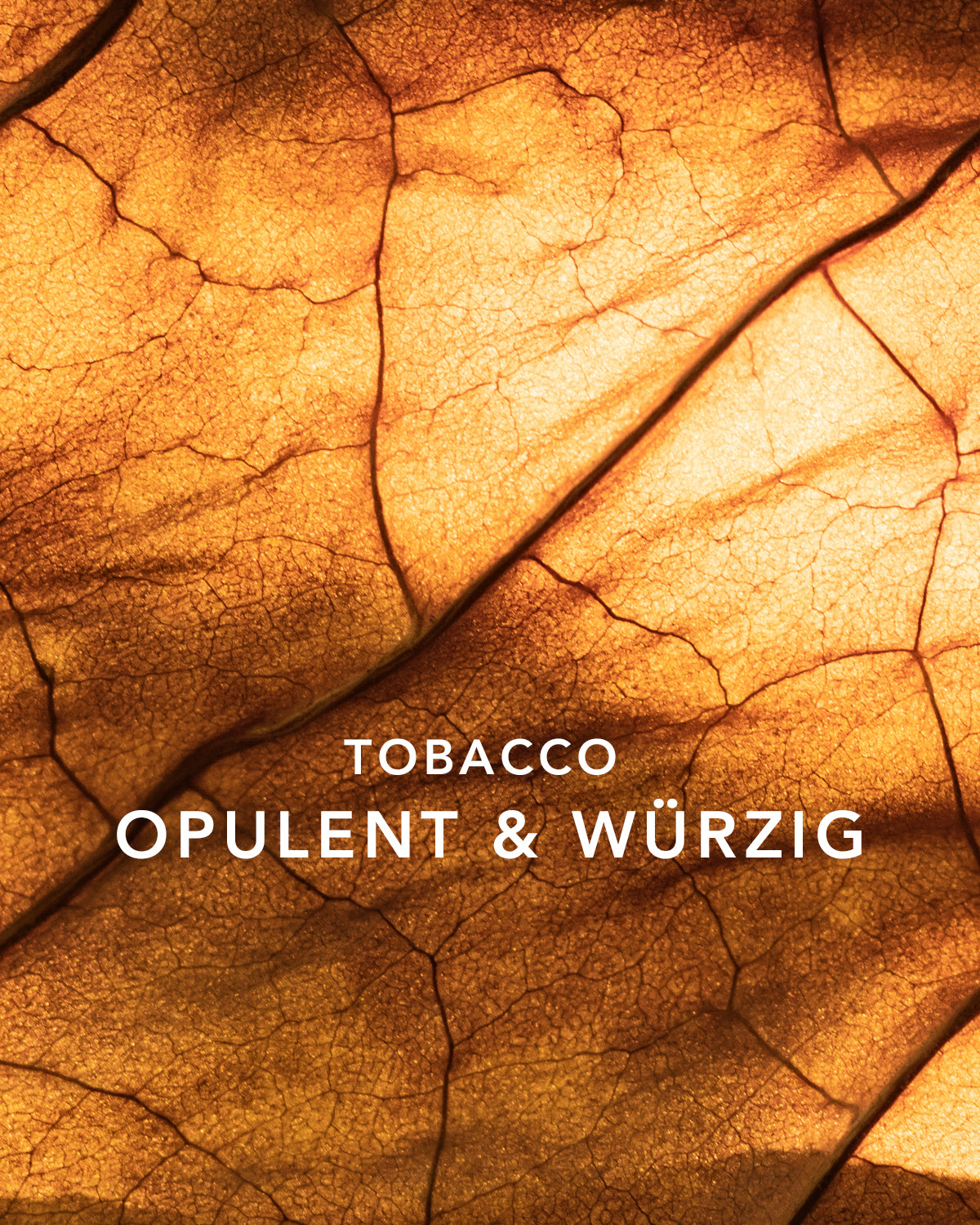 RAUMDUFT TOBACCO NOIR REFILL