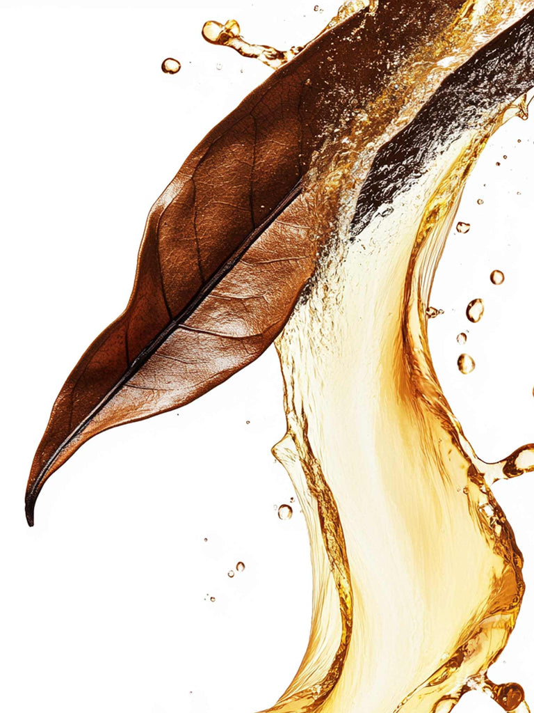 RAUMDUFT TOBACCO NOIR