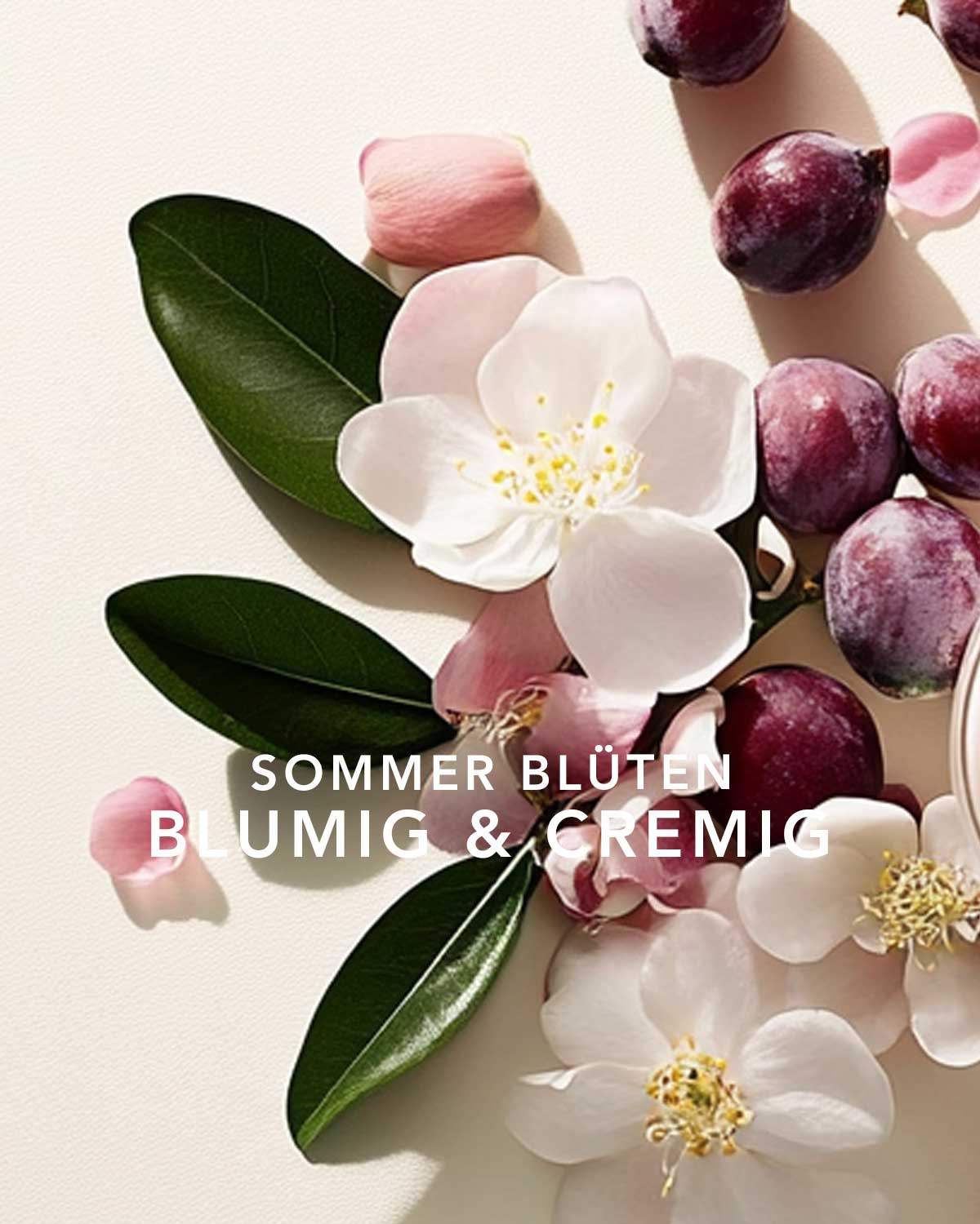 RAUMDUFT ANGELS KISS REFILL